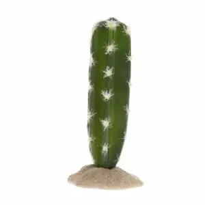 Deze planten van Terra Della zijn zeer decoratieve terrariumplanten met een uiterst realistische look. Dankzij de hoogwaardige materialen en de stevige voet van kunsthars