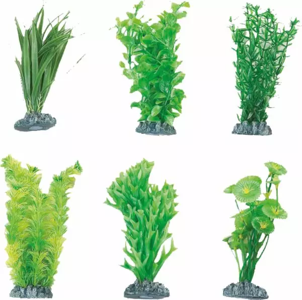 Flamingo Fiji   Decoratie AQ. PLANT PLASTIC FIJI ASS. - S Geef je aquarium een tropische touch met de Fiji Decoratie Plant. Deze plant is verkrijgbaar in verschillende uitvoeringen en geschikt voor zowel zoet- als zoutwater aquaria. Maak je onderwaterwereld compleet met deze prachtige decoratie.