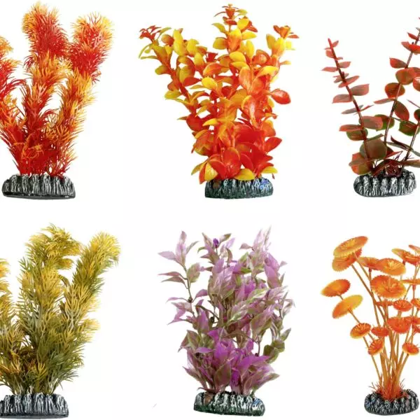 Flamingo Cuba   Decoratie AQ. PLANT PLASTIC CUBA ASS. - XL Geef je aquarium een tropische uitstraling met de Decoratie Cuba Oranje Plant. Deze plant is verkrijgbaar in verschillende varianten en geschikt voor zowel zoet- als zoutwater aquaria. Spoel de plant voor gebruik en onderhoud af met lauwwarm water. Je huisdieren zullen er dol op zijn!