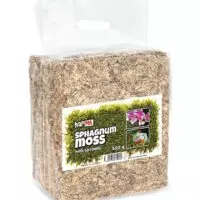 SPHAGNUM MOSS